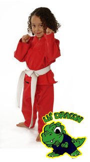 Manchester martial arts for 4 to 6 year olds